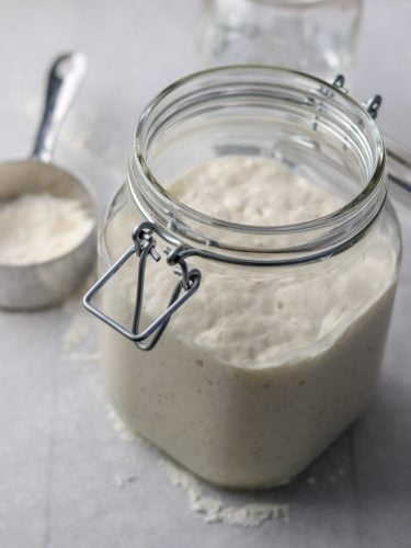 Sourdough Starter