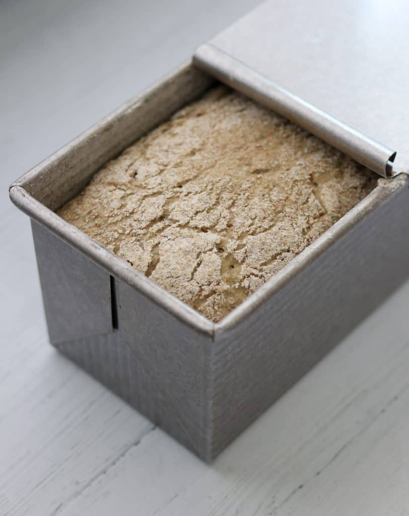Rye bread dough rising in a loaf pan