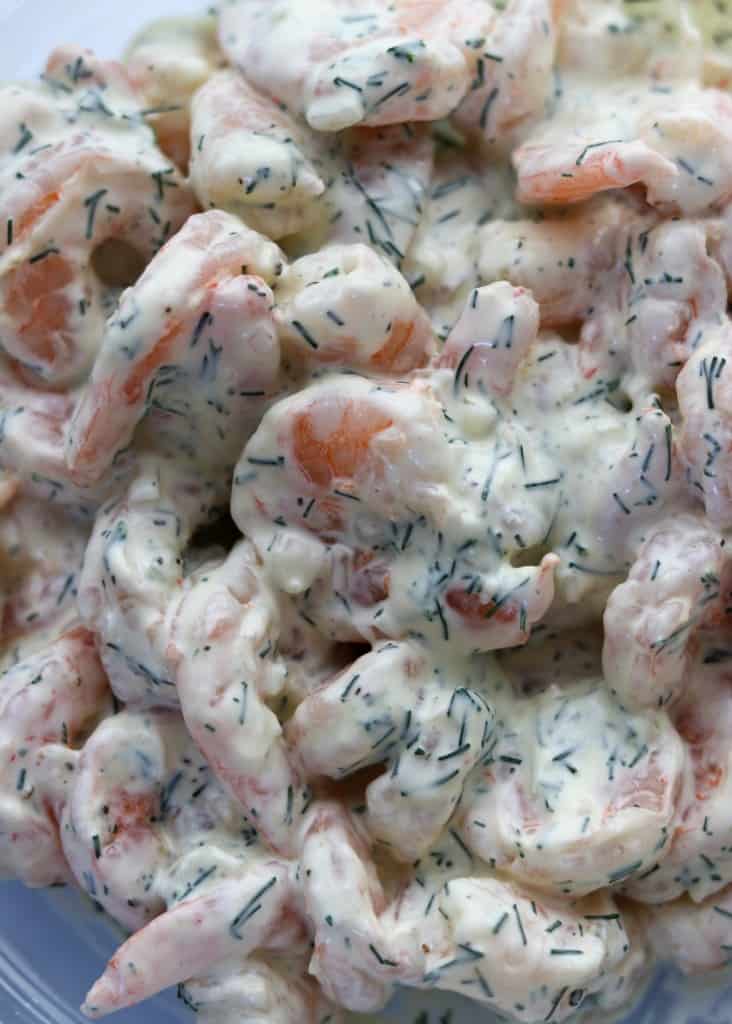 Close up of creamy shrimp salad with dill