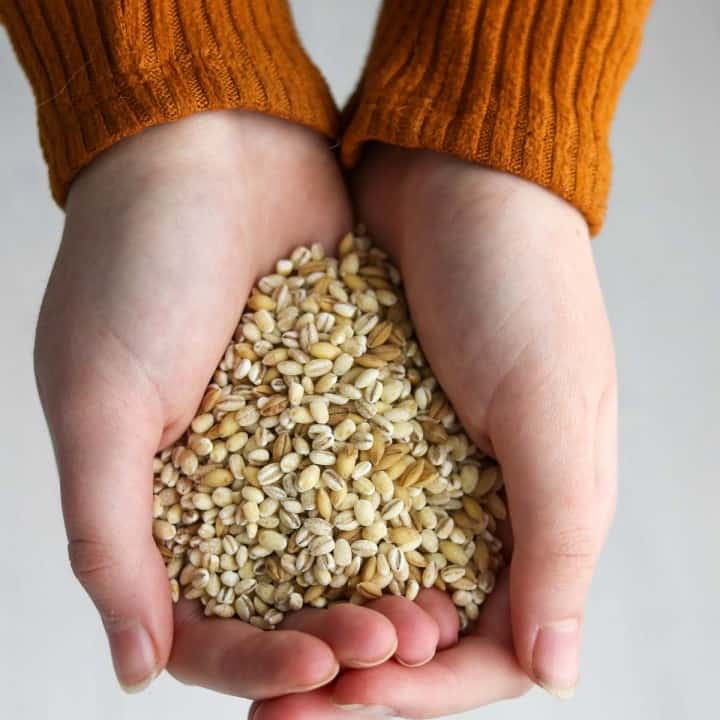 Hands holding grains of barley.