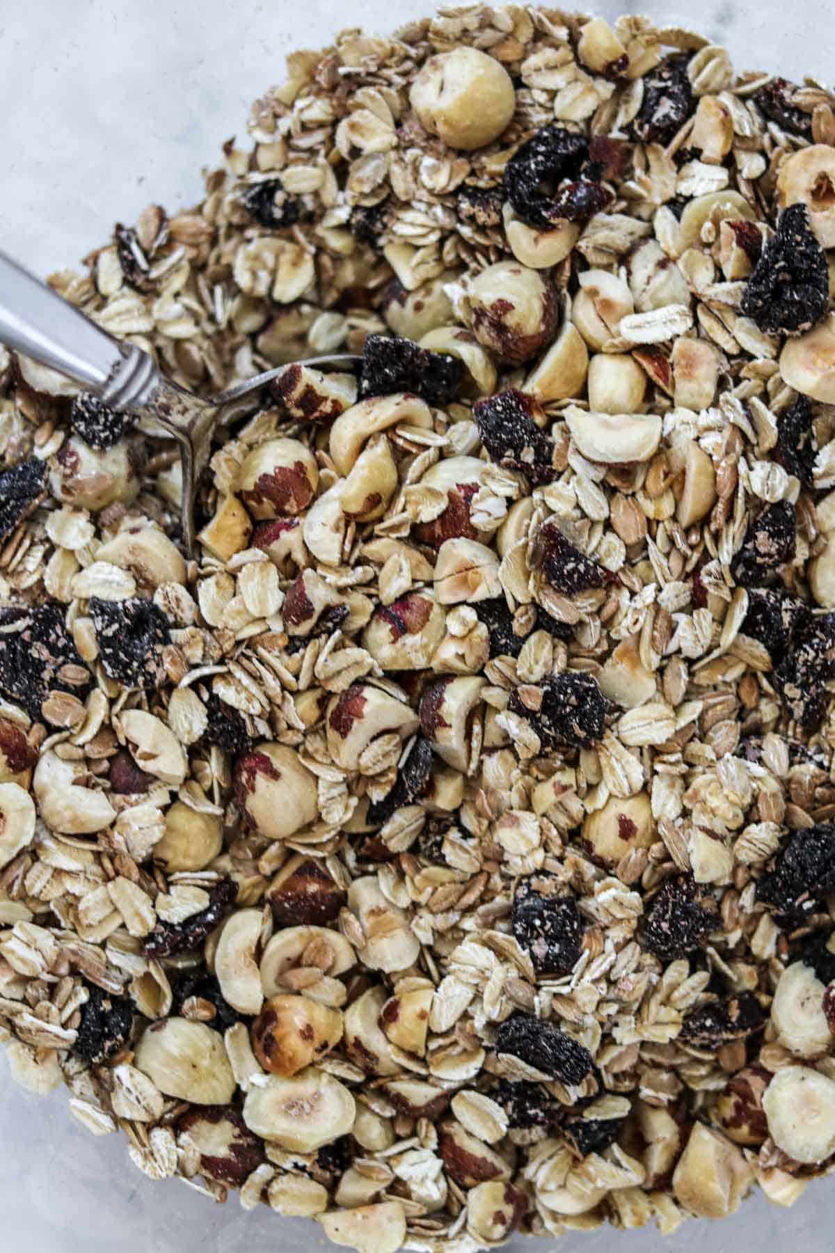 Close up of Rye and Oat Muesli with Dried Cherries and Hazelnuts.