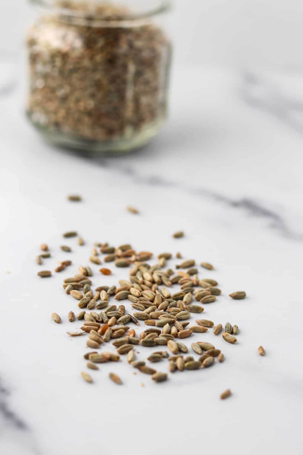 The Essential Guide to Cooking and Baking with Rye (with Recipes