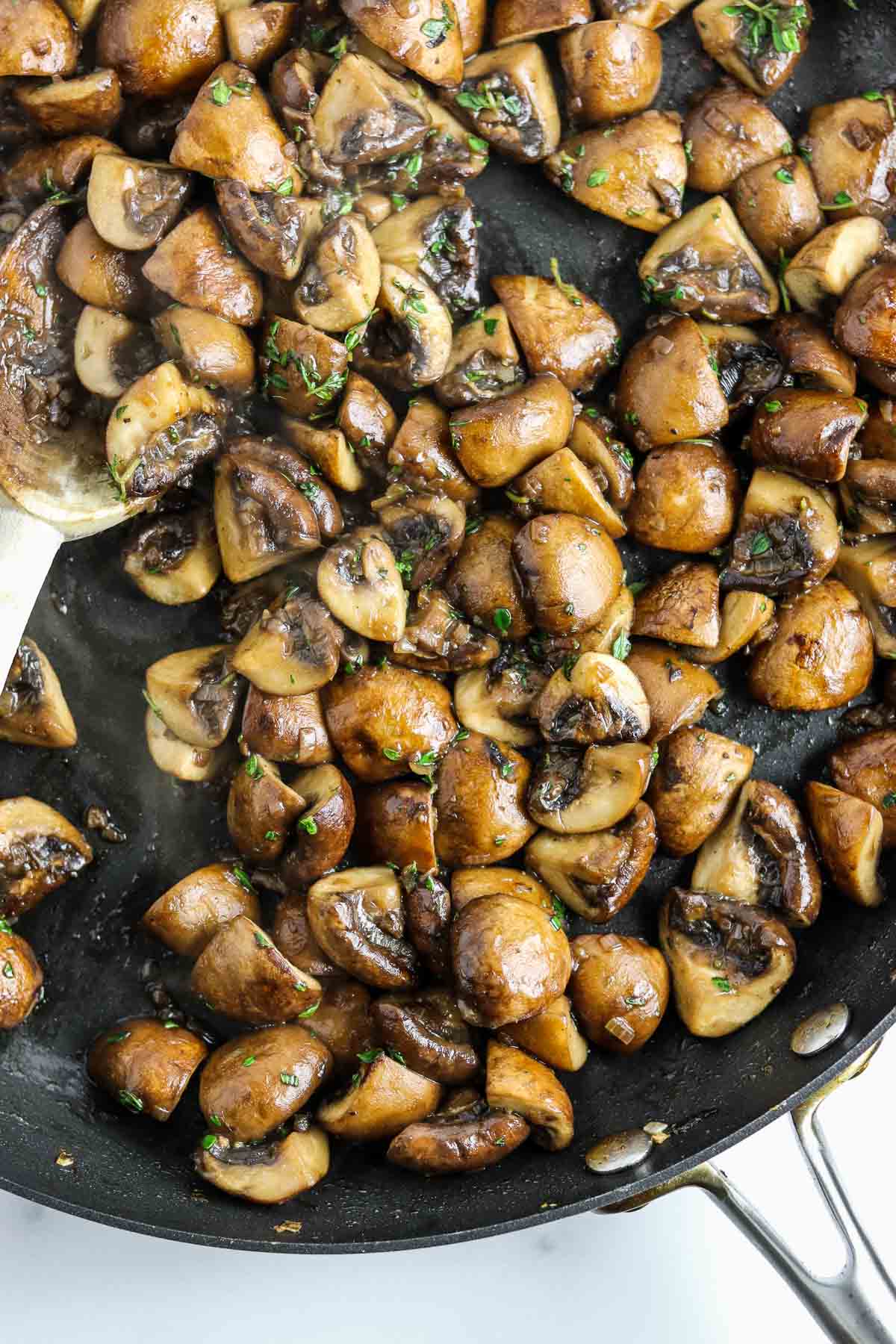 Creamy Mushroom Gratin True North Kitchen