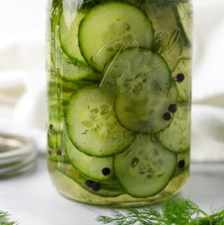 Quick Swedish Pickled Cucumbers in a jar next to peppercorns and fresh dill sprigs.