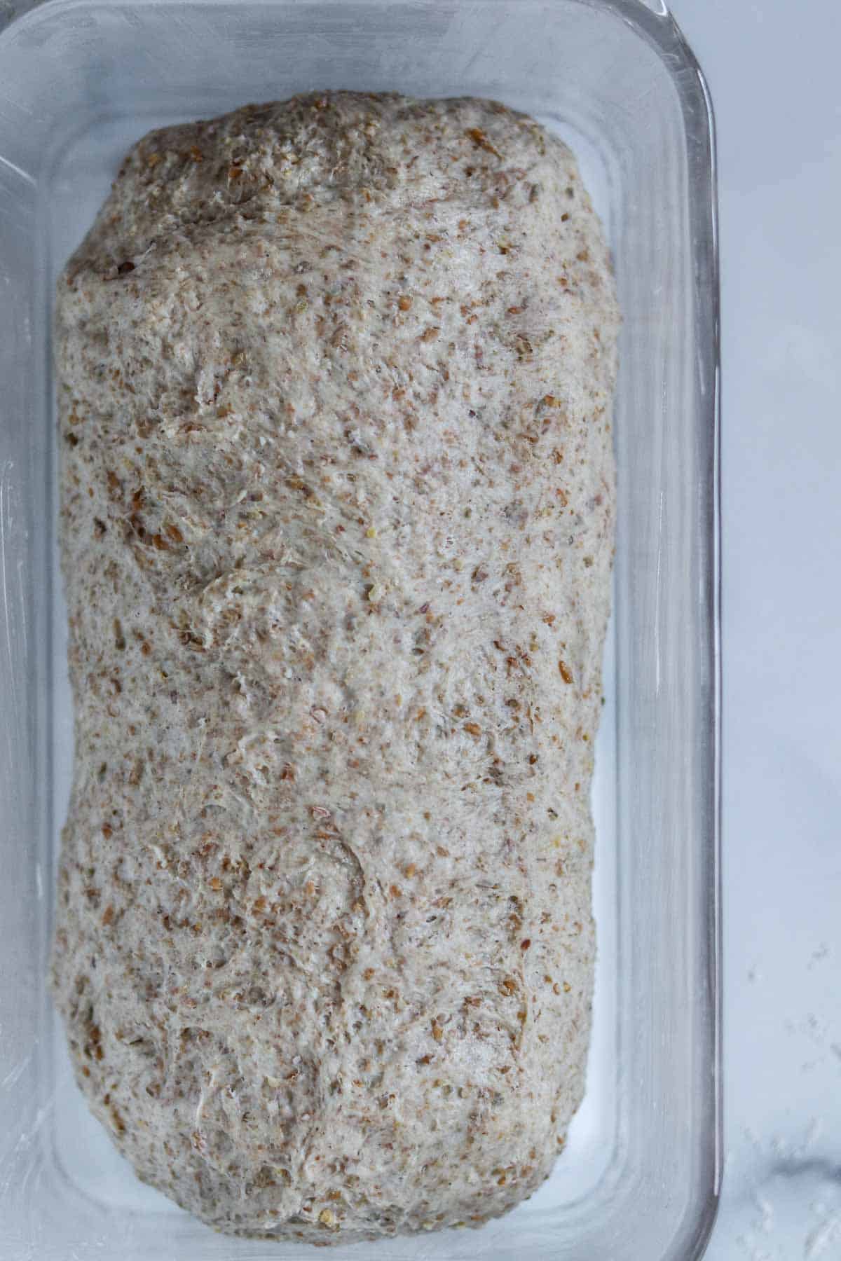 Bread dough in a glass loaf pan.