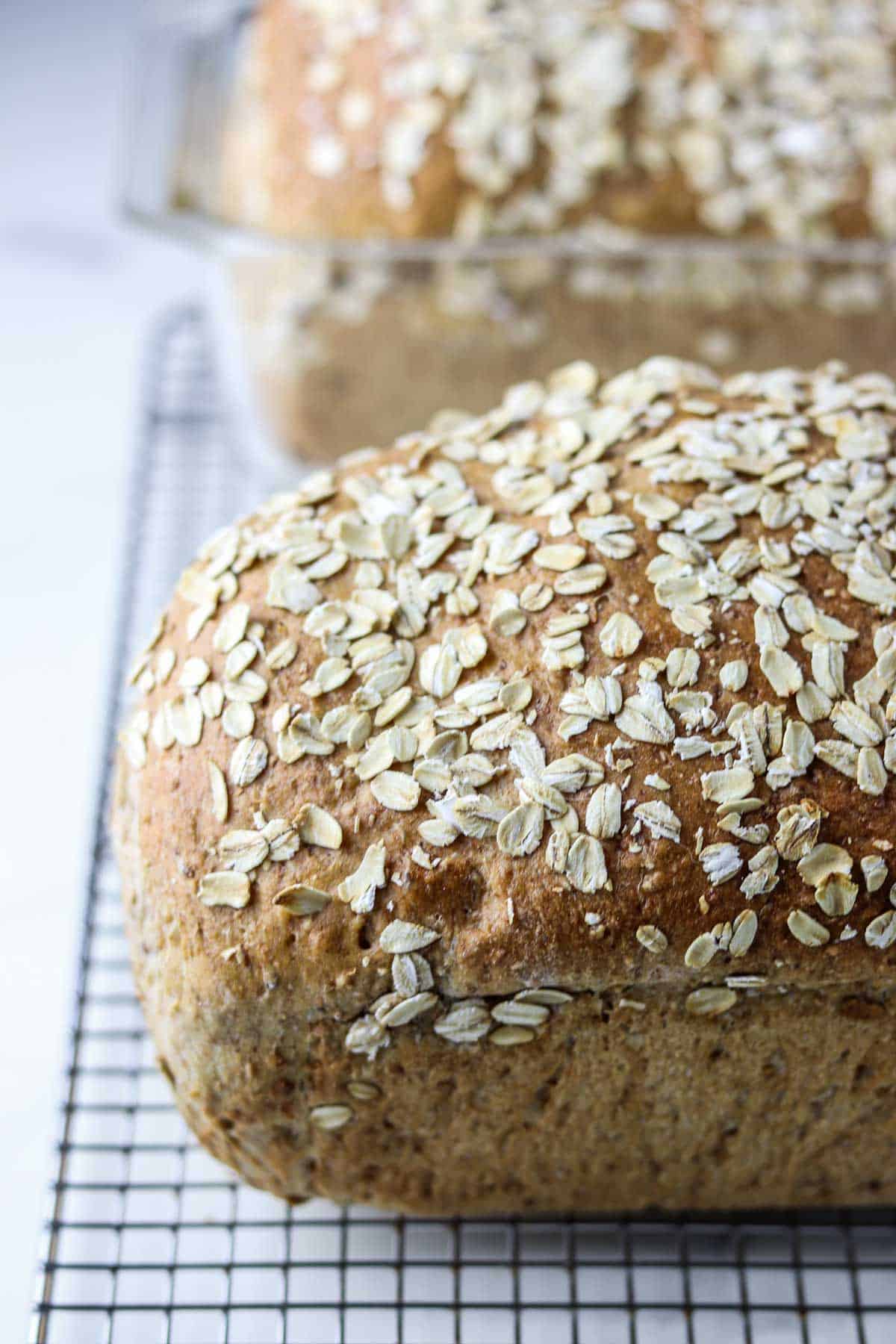 Loaf of bread topped with oats on a wire cooling rack.