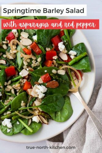 Overhead shot of spinach salad with asparagus, red pepper, barley and goat cheese on a plate with a fork.