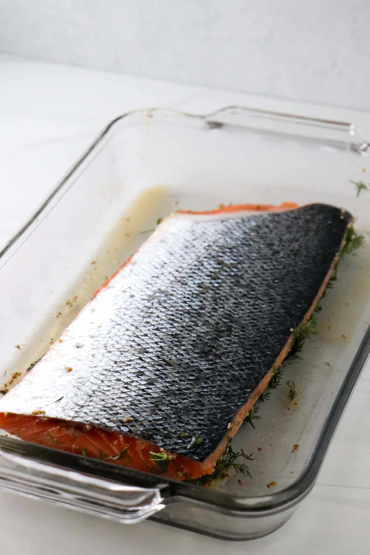 Side of salmon in a glass dish skin side up.
