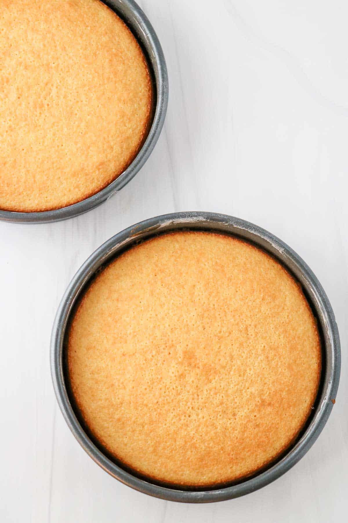 Two baked vanilla cakes in cake pans.