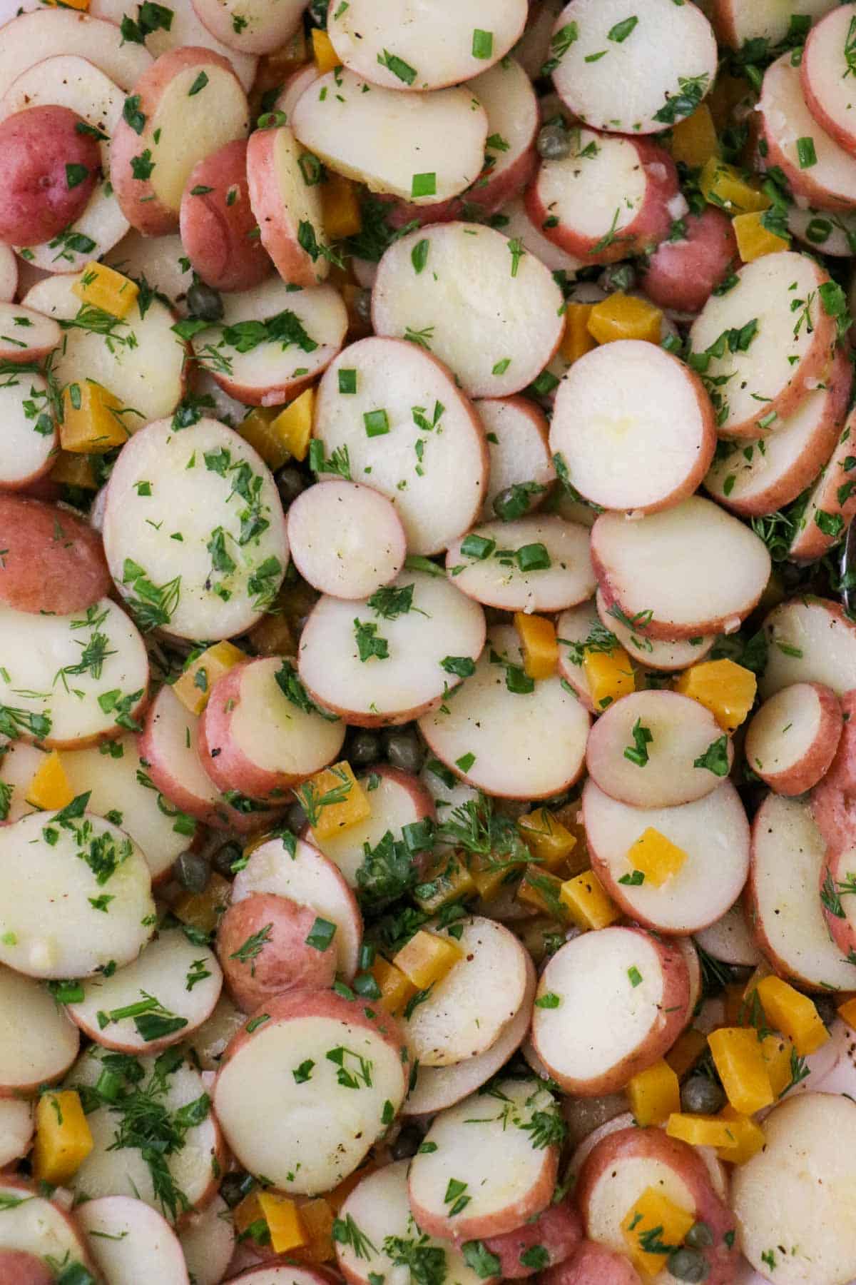 Herbed Potato Salad with capers and diced golden beets.