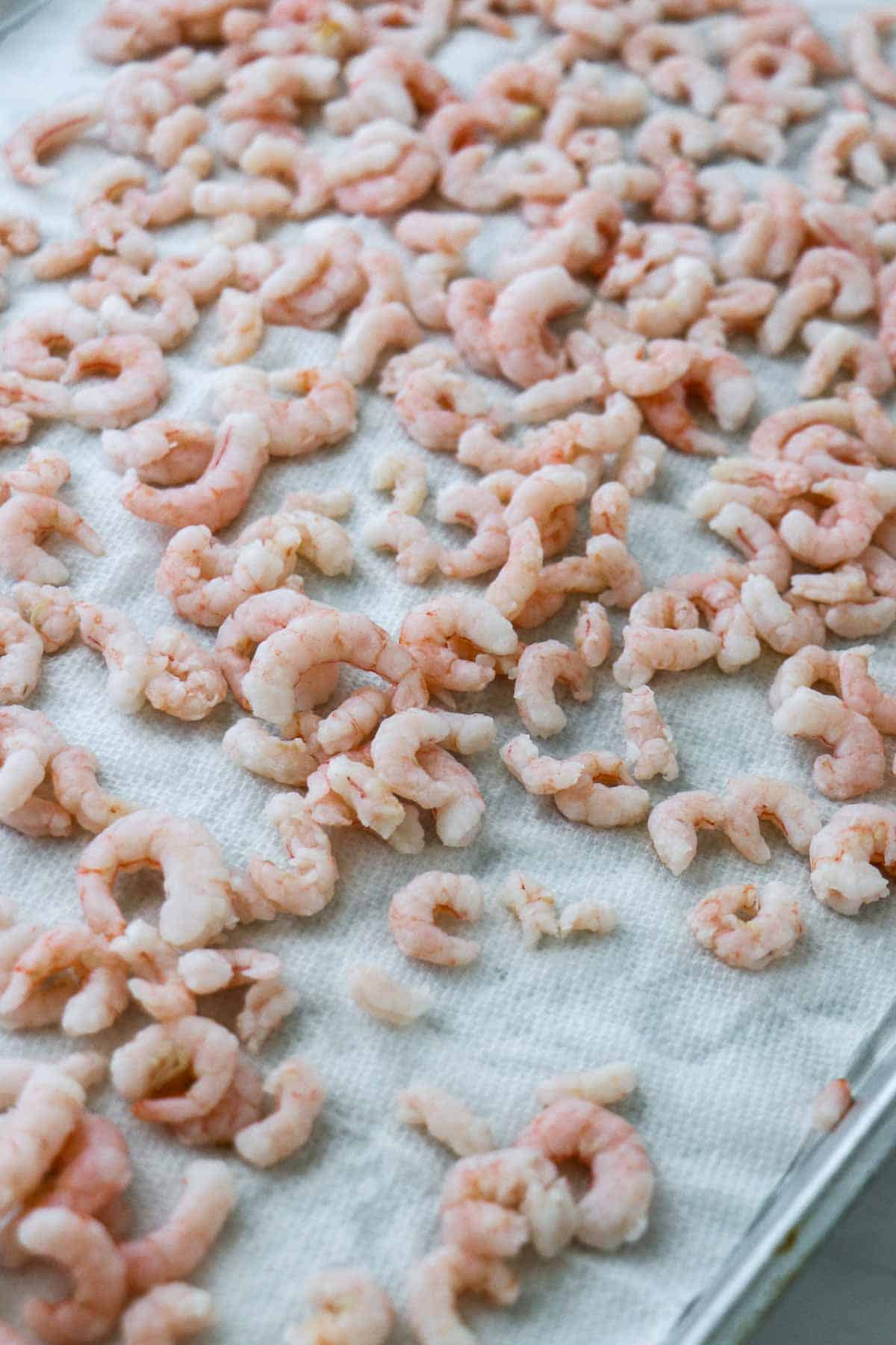 Small cooked shrimp on a paper towel-lined baking sheet.