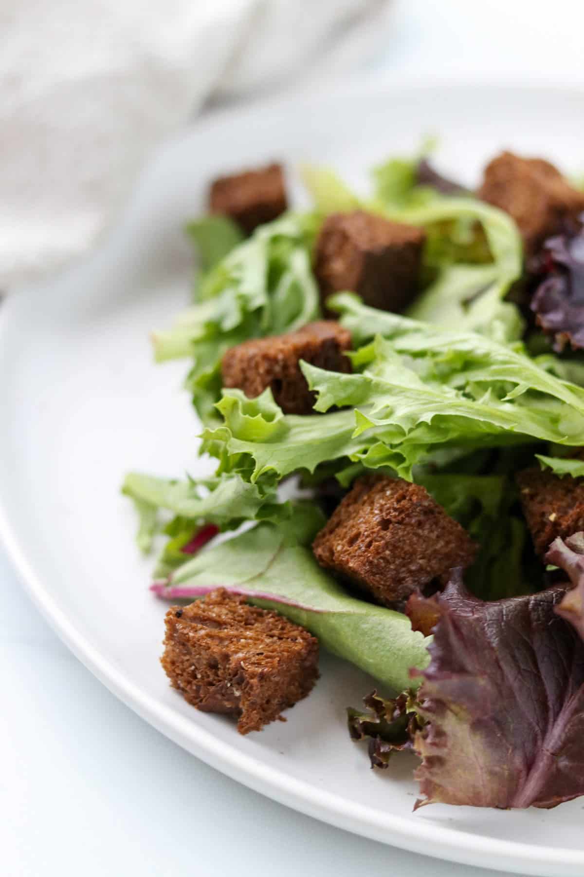 Rye croutons and lettuce on a white plate.