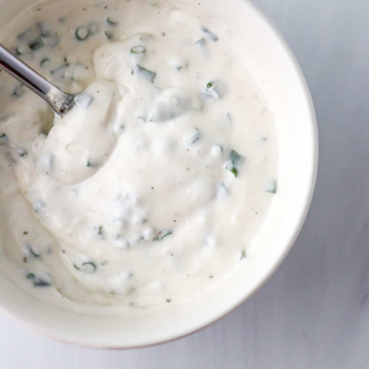 3 Ingredient Horseradish Yogurt Sauce True North Kitchen