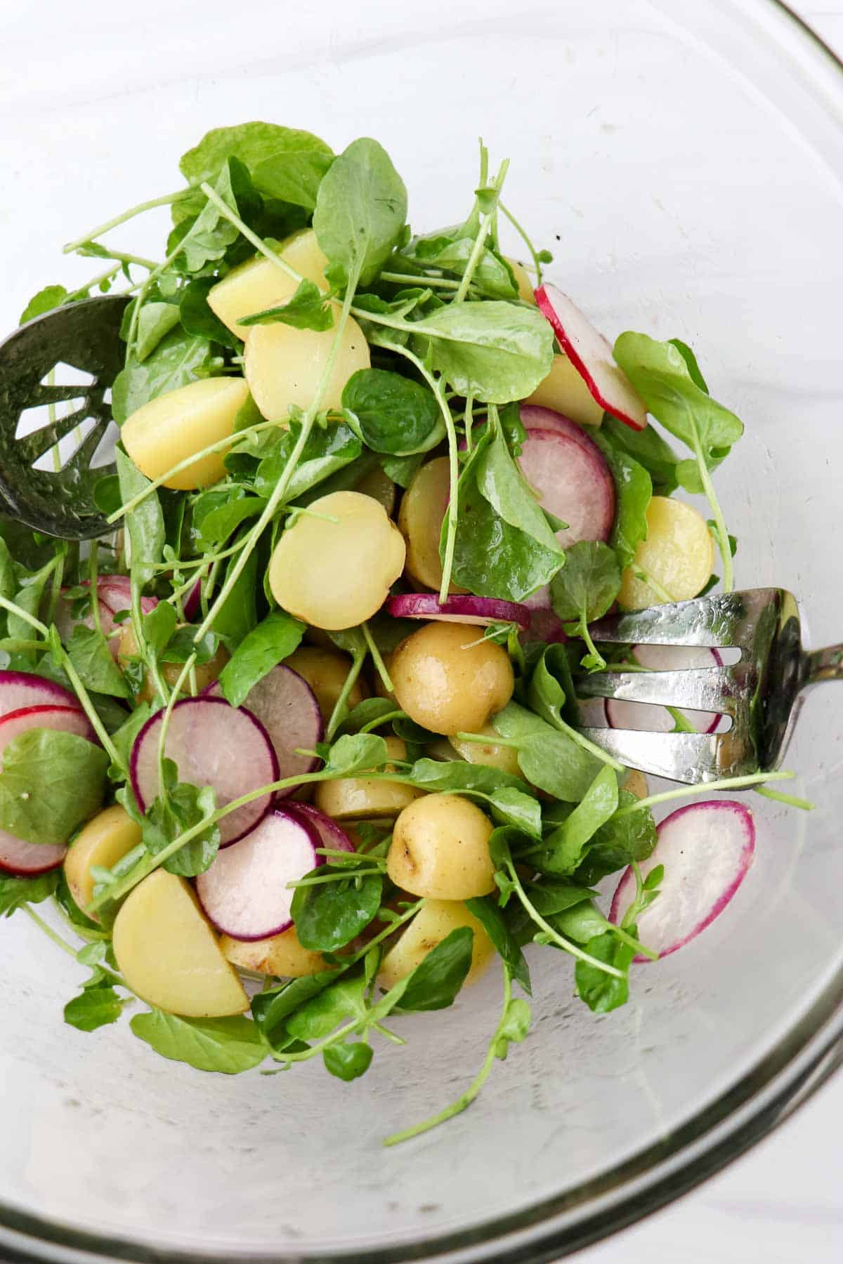 Potatoes, greens and radishes tossed together with a vinaigrette in a glass bowl.