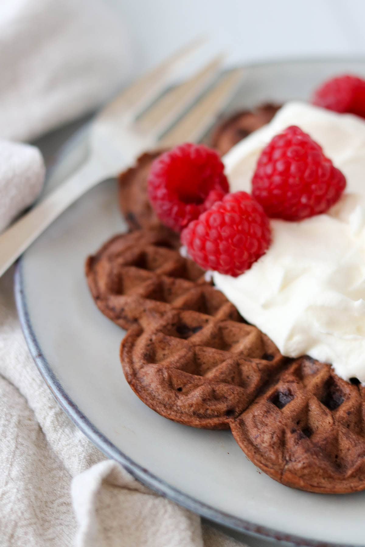 Chocolate waffle topped with whipped cream and raspberries.