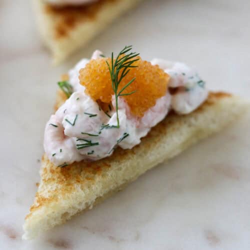 Appetizer Recipes