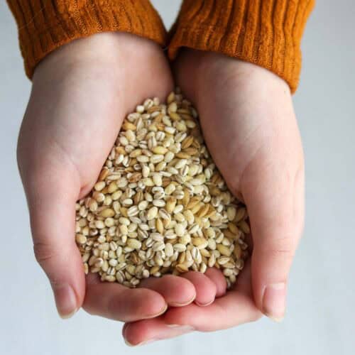Barley Recipes