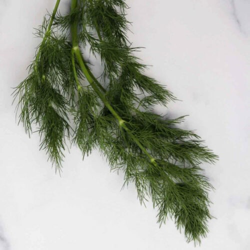 Dill Recipes